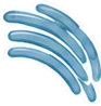 Other cell structures